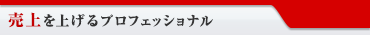 売り上げをあげるプロフェショナル