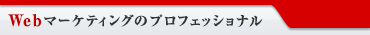 Webマーケティングのプロフェショナル